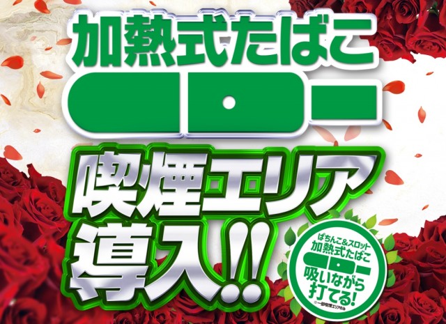 ベガビック岡崎店